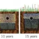 Build up of biomat over the life span of a septic system